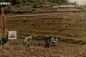 云南知青之歌-遥远的地方视频封面