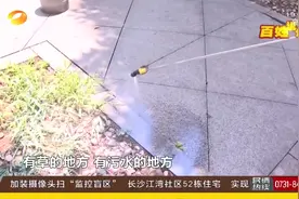 长沙：空中突然出现大量不明白色小虫，居民直呼心慌视频封面