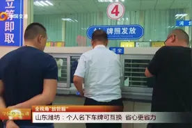 名下有多辆车的车主注意了，名下的车牌可以互换，省心更省力！视频封面