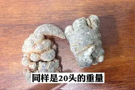 你知道吗？三七除了分头数之外，其实还分帽七和滑七。视频封面