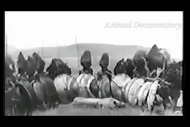 珍贵老影片非洲之王马赛人徒手与狮子搏斗视频封面