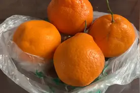 你经常吃耙耙柑吗？很少人知道它有这些功效，快叮嘱家里人视频封面