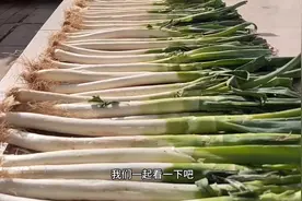 凉拌大葱，教你农家特色做法，特别的开胃下饭，吃饭最馋这一口了视频封面