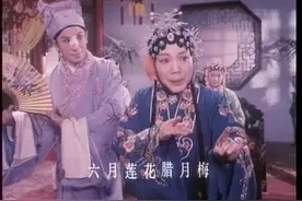 越调 白奶奶醉酒 毛爱莲 袁秀莲 任宏恩视频封面