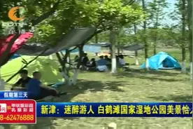 迷醉游人！今年1月刚开放，白鹤滩国家湿地公园美景怡人！视频封面