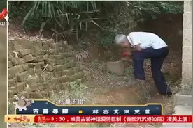 偏僻村庄现汉代古墓 多达百座 卫星拍摄古墓的排列竟然是条龙视频封面