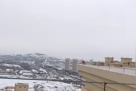 千里冰封，万里雪飘。情人节杜蕾斯和鲜花有没有被大雪阻挡住脚步视频封面