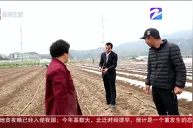 瑞安甘蔗之乡：惊蛰至春耕节奏不乱，提前半月播种甘蔗视频封面