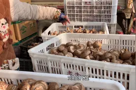 小伙在批发市场买新鲜香菇，还算便宜，看看批发价多少钱一斤？视频封面