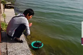 问潮州人,日食鳗鱼1条,终得鲍鳗不干菌肺炎而去是因果还是凑巧?视频封面