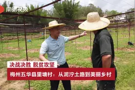 决战决胜脱贫攻坚   梅州五华县里塘村：从泥泞土路到美丽乡村视频封面