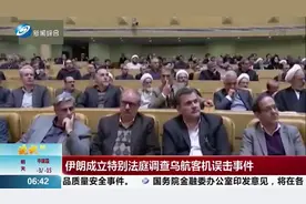伊朗成立特别法庭调查乌航客机误击事件：会查清整件事来龙去脉视频封面