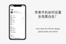 特别致敬抗疫英雄——苹果手机如何设置全局黑白色？视频封面