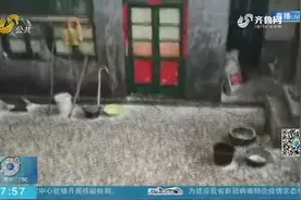 风雨交加！山东13市突降雷阵雨，淄博等地降下冰雹，如鸽子蛋大小视频封面