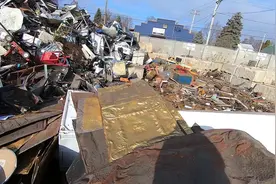 垃圾堆探宝，在垃圾堆捡到乐器和现金视频封面