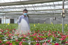 广州农科基地：保障员工身体健康 力助生产安全有序视频封面