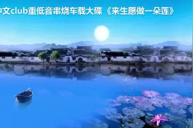 全中文club重低音串烧车载大碟 《来生愿做一朵莲》视频封面