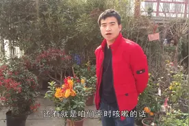 香橼不仅可以作为景观植物，还可以清热止咳，药用价值棒棒的视频封面