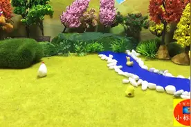 鸭子的羽毛为什么不容易打湿视频封面