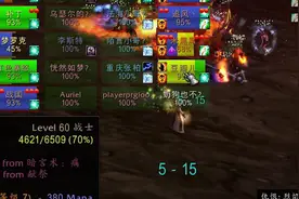 魔兽怀旧服Healbot治疗插件，只用鼠标就可以加血视频封面