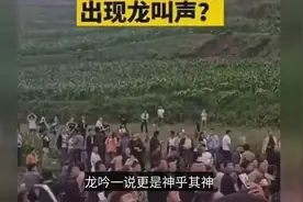 贵州山中传出“龙吟”?初步判断声音来自它！视频封面