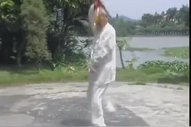 精武课堂 中华武术程派游身八卦掌教学——孙志君