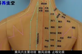 秉风穴功效散风活络 止咳化痰主治疾病肩背疼痛 咳喘 肩胛痛视频封面