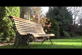 散文诗欣赏汪曾祺《人间草木》人世间最美的事闲看一朵花，一株草视频封面