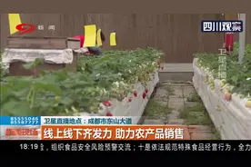 成都：水果滞销？抖音平台推广！线上线下齐发力，助力农产品销售视频封面