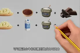 巧克力的制作过程，从一颗可可树到一块巧克力的故事视频封面