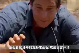 “食物链顶端的男人”贝爷为何销声匿迹了，网友赚足了吧视频封面