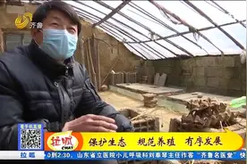 养殖蝎子有妙招，蒙阴一大叔创“四四零”养殖法，一年能赚六七万视频封面