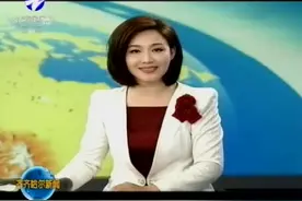 [齐齐哈尔新闻]郑丽：家乡给我前行的力量视频封面