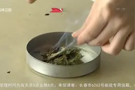 真相123：夏季蚊子很烦人？学会专家这一招，再也不用担心被咬了视频封面