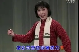 河北梆子《龙江颂》听惊涛-张淑敏王云菊视频封面