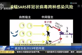 石正丽：新冠病毒绝非人造，关闭海鲜市场使病毒溯源困难！视频封面