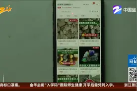花6万网购翡翠原石  买前紫色切开白色？视频封面