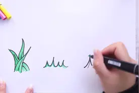 小草的画法视频封面