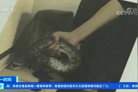 在平房内饲养25条球蟒 天津一男子非法收购珍贵濒危野生动物获刑