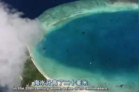 看完这个片子仿佛觉得人类来到这个世界就是错误的！！！视频封面
