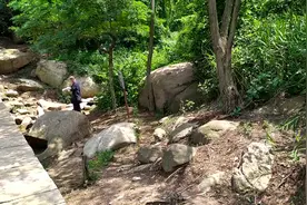 青岛西海岸新区大珠山山泉取水处，小伙伴们有空可以过来喝一点视频封面