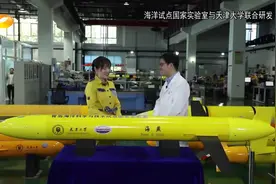 我国自主研发的水下滑翔机“海燕”，快看看它有多牛|新闻大求真视频封面
