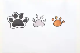 狗爪印怎么画视频封面