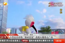 太可爱了！十四运吉祥物“秦岭四宝”亮相大雁塔北广场|都市热线视频封面