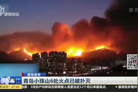 青岛小珠山6处火点已被扑灭，最后一处得到控制，现场无伤亡视频封面
