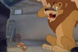 猫和老鼠:凶萌的大狮子从动物园逃脱寻求杰瑞的帮助视频封面