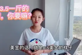 美国猪厂赔本售活猪！1000人民币买头230斤大肥猪，华人合伙购买视频封面