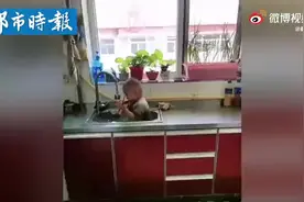 太原宝宝爬进水池边洗碗边洗澡图片