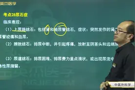 中医外科学28尿石症：临床表现，湿热蕴结、气血瘀滞、肾气不足视频封面