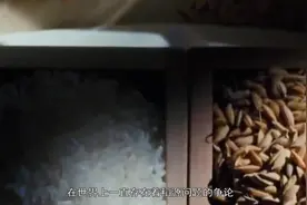 浙江余姚特大发现，农民一锄挖出神秘遗址，学者：领先世界500年视频封面